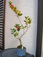 szk090124 002.01.jpg