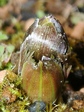 szk090201 005.01.jpg