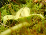 szk090203 019.01.jpg