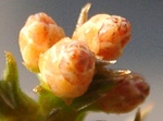 szk090211 013.01.jpg