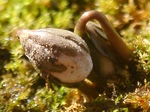 szk090217 002.01.jpg