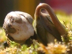 szk090217 003.01.jpg