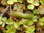 szk090228 002.01.jpg
