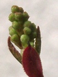 szk090302 004.01.jpg