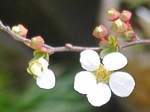 szk090305 021.01.jpg