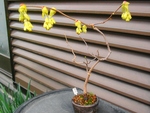 szk090311 001.01.jpg