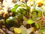 szk090312 024.01.jpg