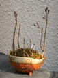szk090316 001.01.jpg