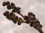 szk090316 012.01.jpg