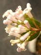 szk090318 011.01.jpg