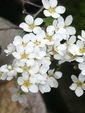 szk090319 002.01.jpg