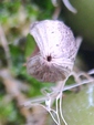 szk090322 012.01.jpg