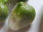 szk090325 004.01.jpg