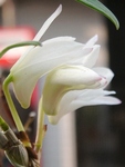szk090329 006.01.jpg