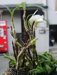 szk090329 010.01.jpg