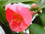 szk090331 015.01.jpg