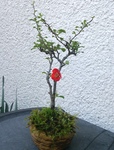 szk090402 001.01.jpg