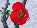szk090402 002.01.jpg