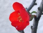 szk090402 005.01.jpg