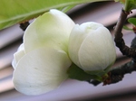 szk090403 007.01.jpg