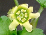 szk090405 001.01.jpg