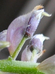 szk090406 004.01.jpg