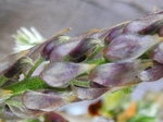 szk090406 010.01.jpg