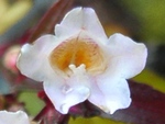 szk090407 008.01.jpg