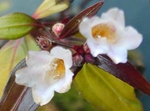 szk090407 009.01.jpg