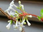 szk090412 002.01.jpg