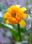 szk090413 004.01.jpg