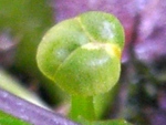 szk090413 007.01.jpg