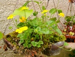 szk090413 011.01.jpg
