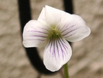 szk090413 020.01.jpg