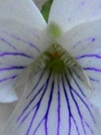 szk090415 002.01.jpg