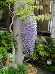 szk090417 001.01.jpg