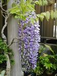 szk090417 002.01.jpg