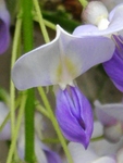 szk090417 005.01.jpg