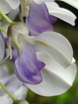 szk090417 006.01.jpg