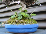 szk090419 001.01.jpg