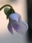 szk090419 003.01.jpg