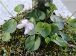 szk090419 004.01.jpg
