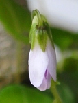 szk090419 006.01.jpg