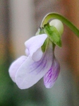 szk090419 010.01.jpg