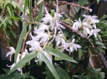 szk090420 001.01.jpg