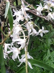 szk090420 008.01.jpg
