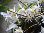 szk090420 010.01.jpg