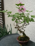 szk090420 011.01.jpg