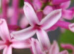 szk090420 022.01.jpg