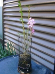 szk090422 001.01.jpg